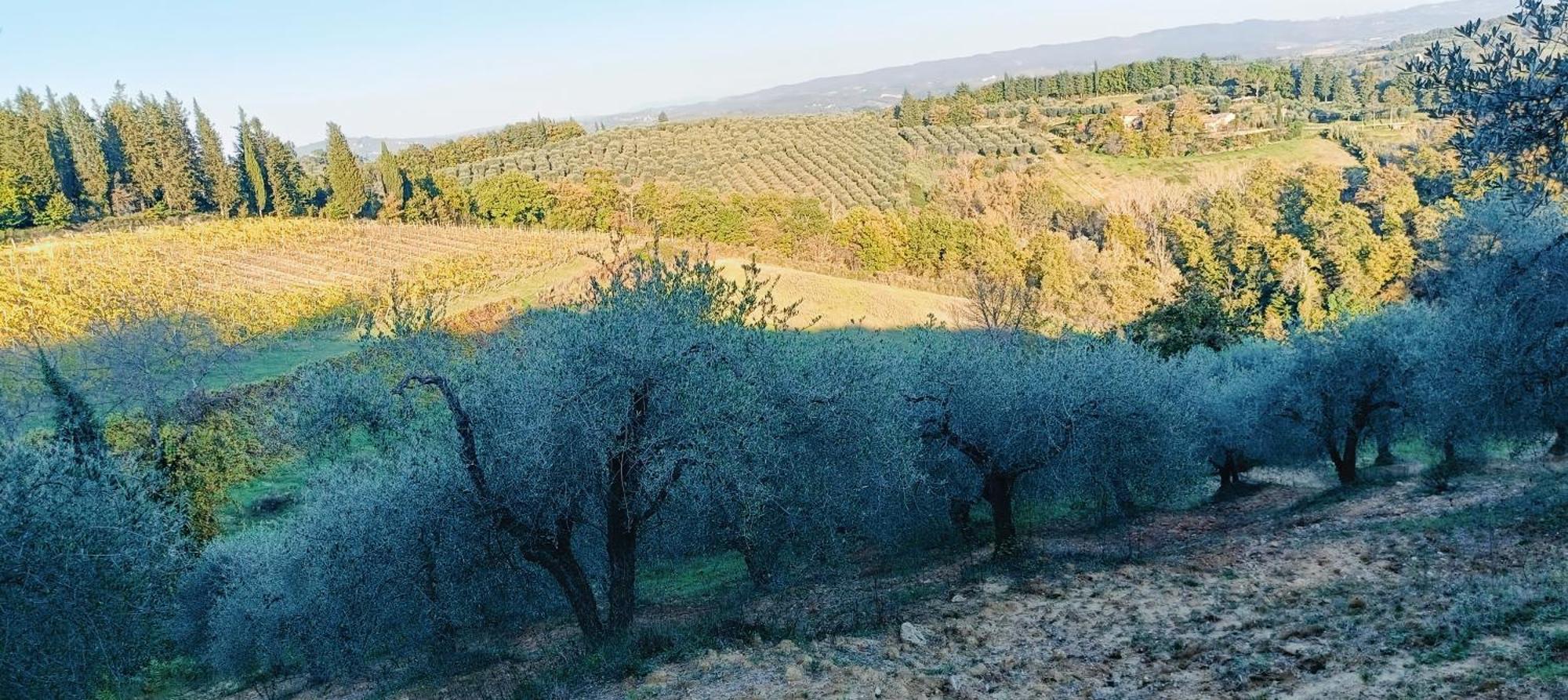 Casa Orneto Villa Poggibonsi Eksteriør billede