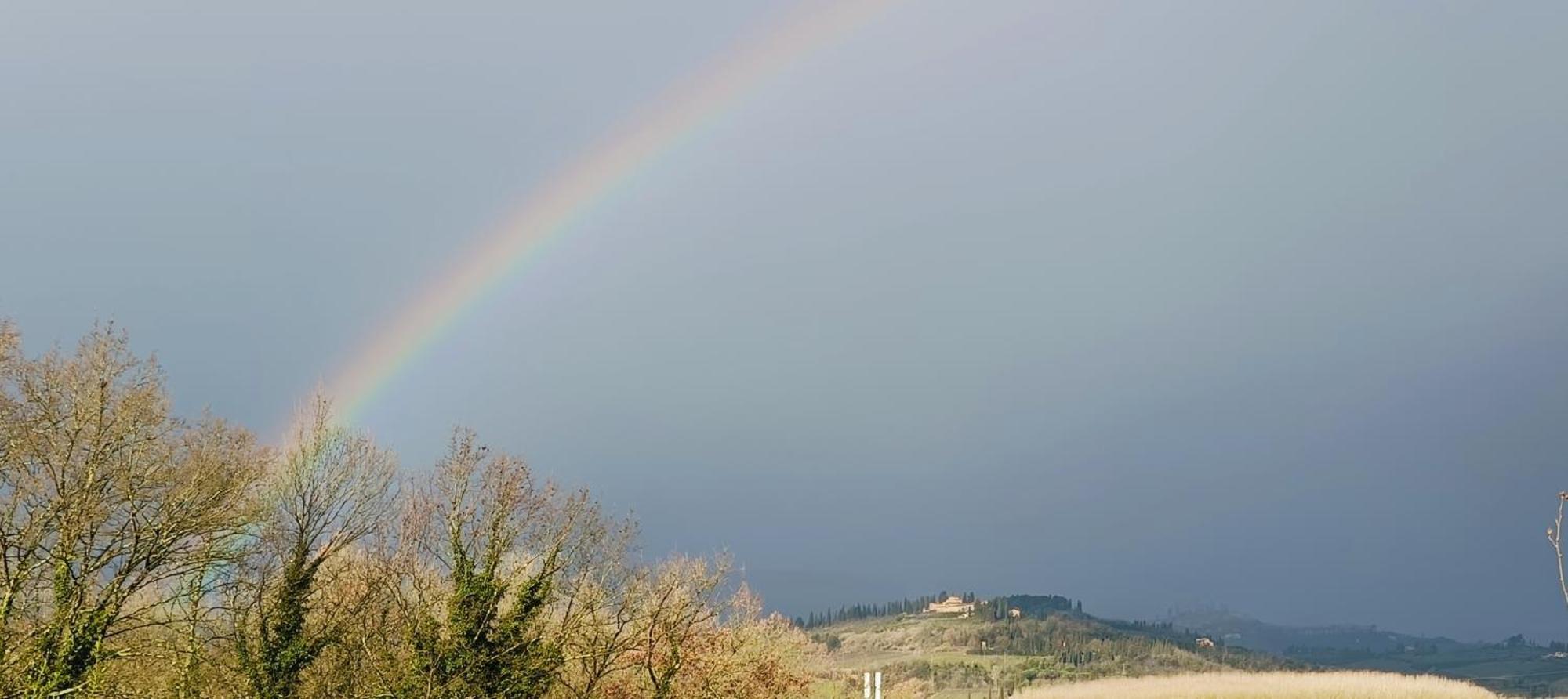 Casa Orneto Villa Poggibonsi Eksteriør billede
